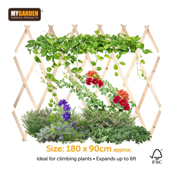 Garden Expanding Wooden Trellis Natural 180 x 90 cm 0892 (Parcel rate)