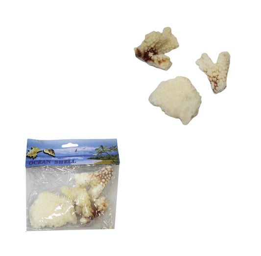 Natural White Stone Seashells Beach Shells Aquarium Decor 4 - 7cm Pack of 3 4528 (Parcel Rate)