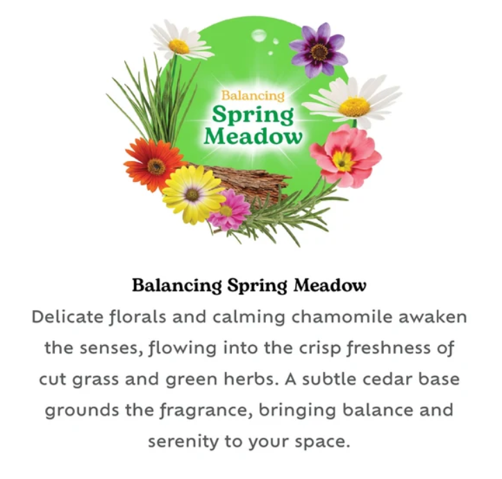 Bloome Glass Jar Candle for Creating a Calming Atmosphere Balancing Spring Meadow Scent 95g Up to 10 Hours Burn Time Green SKU MW-5056683934892-PP