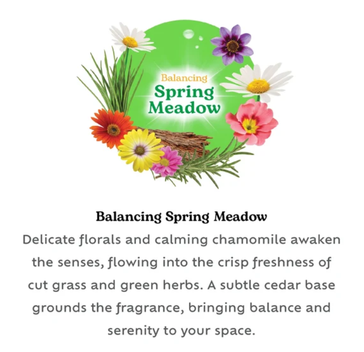 Reed Diffuser for Continuous Home Fragrance Bloome Balancing Spring Meadow Scented Oil 30ml 28 Days SKU MW-5056683934854-PP